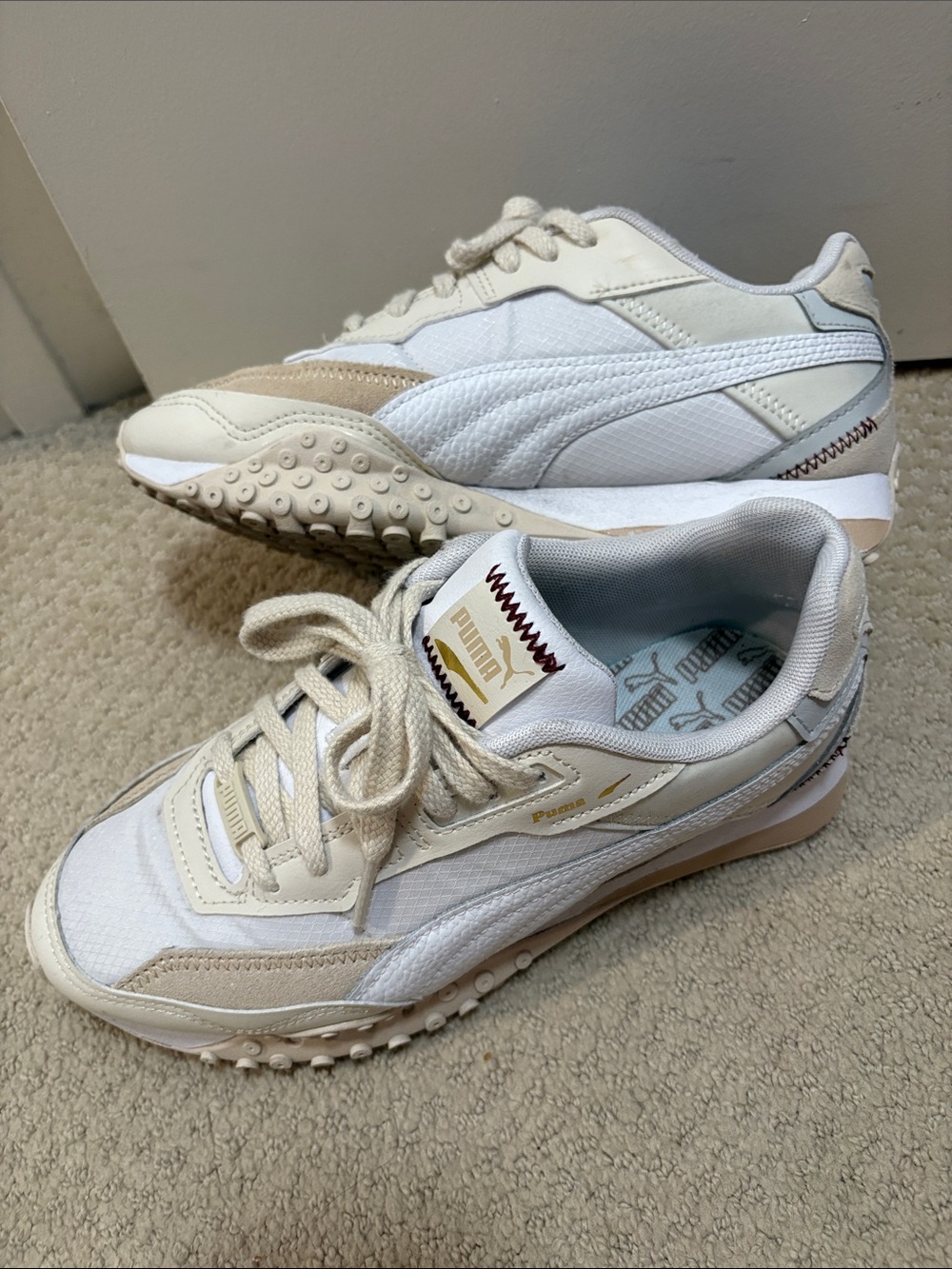 Puma blacktop rider